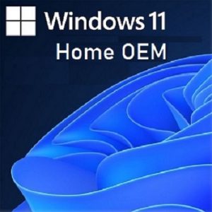 windows 11 home oem